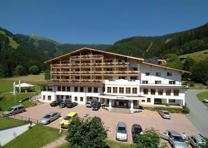 Vaya Zell Am ホテル ツェル アム ゼー